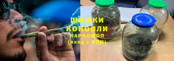 прущие грибы Бородино